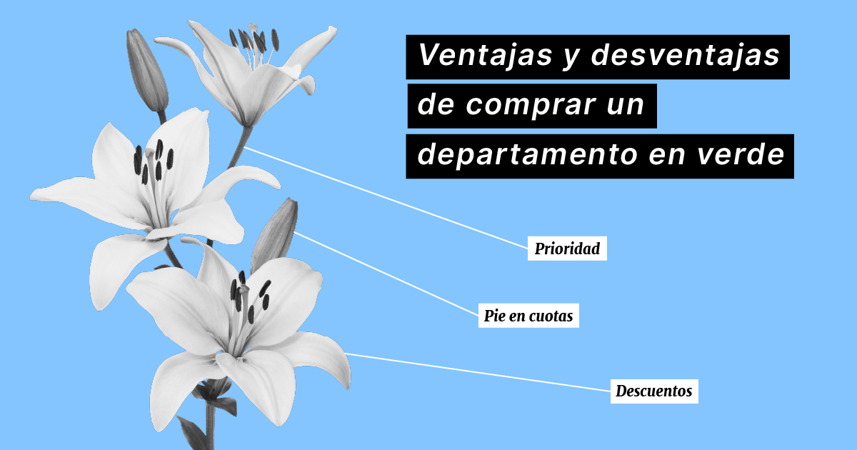 ventajas-y-desventajas-de-comprar-un-departamento-en-verde